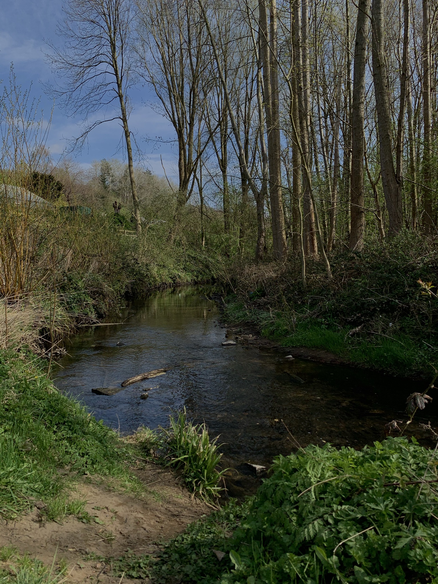 A stream in Meanwood, Leeds en-route to the urban farm