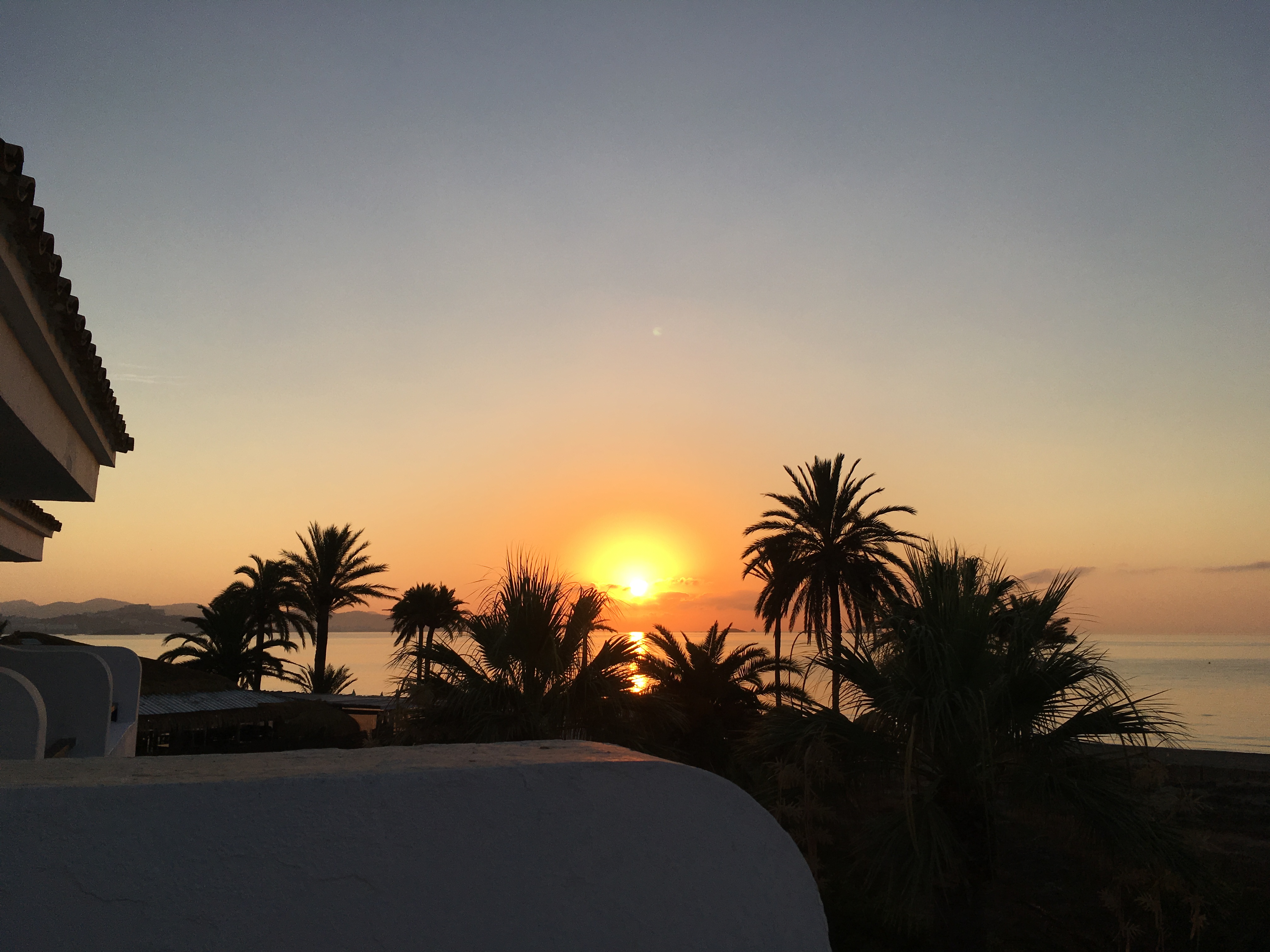 A sunrise in spain behind palm trees that I took at 07:00